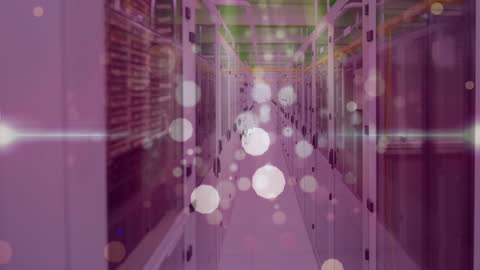 Digital Network Connections Overlaying Data Servers