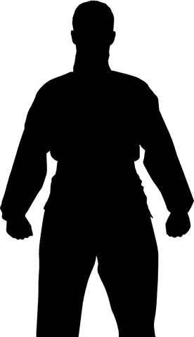 Martial artist silhouette on transparent background