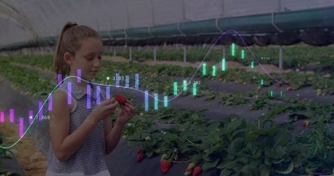 Girl inspecting ripe strawberry in greenhouse hoophouse with agricultural data overlays