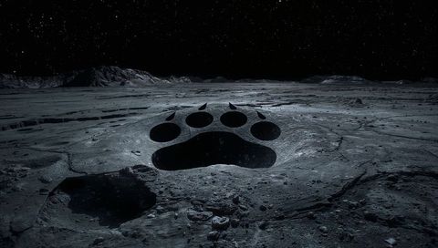 Lunar paw basin casting long shadows across desolate moon plain under starry night sky