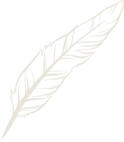 artistic transparent feather sketch for elegant designs - Download Free Stock Videos Pikwizard.com