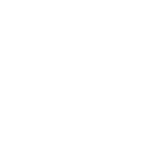 Transparent silhouette woman sitting yoga pose meditation - Download Free Stock Videos Pikwizard.com