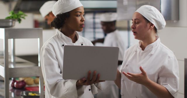 Two diverse female chefs talking and using laptop in restaurant kitchen - Download Free Stock Photos Pikwizard.com