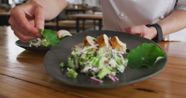 Chef Garnishing Salad with Fresh Herbs in Restaurant - Download Free Stock Images Pikwizard.com