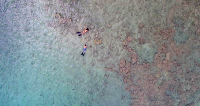 Aerial View of Two People Snorkeling in Clear Tropical Waters - Download Free Stock Images Pikwizard.com