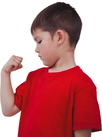 Young Boy Admiring Bicep in Red Shirt on Transparent Background - Download Free Stock Videos Pikwizard.com