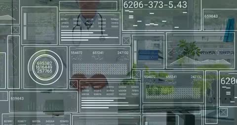 Healthcare Professional Reviewing Digital Medical Data Interface