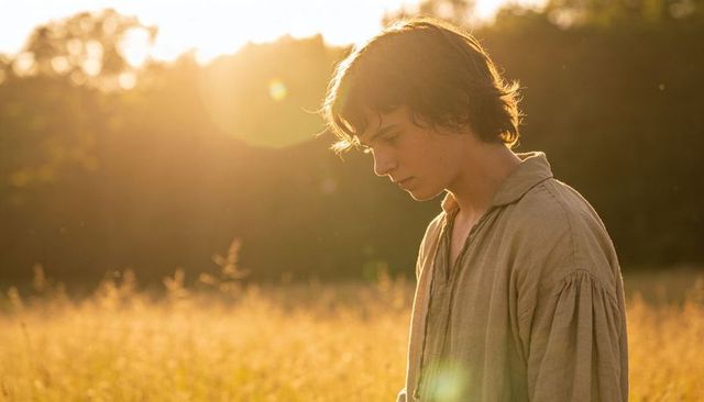 Teen standing in golden meadow gazing down at sunset backlit portrait with lens flare