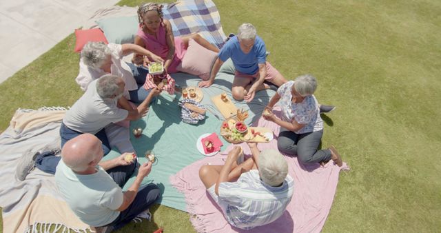 Senior Friends Enjoying Outdoor Picnic in Sunny Park - Download Free Stock Images Pikwizard.com