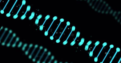 Glowing DNA Strands on Black Background - Download Free Stock Images Pikwizard.com