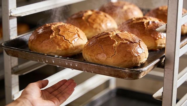 Steaming glazed cracked-crust bread rolls sliding on metal sheet pan in commercial bakery