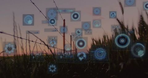 Futuristic holographic visualizations in dusk meadow