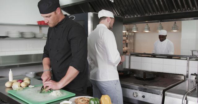 Group of chefs working together in professional kitchen preparing gourmet meals. Suitable for illustrating culinary teamwork, professional cooking environments, and high-quality food preparation. Ideal for use in articles, websites, infographics related to food, restaurants, culinary schools, and teamwork in kitchen settings.