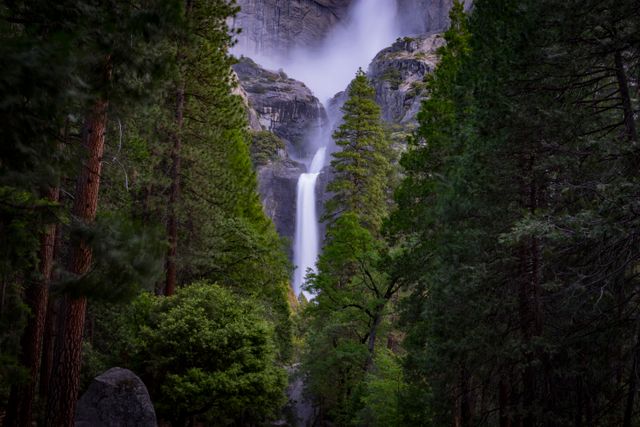 Cascading waterfall surrounded by lush greenery and tall trees in a national park setting. Ideal for nature-themed publications, outdoor adventure posters, environmental organization materials, and tourism brochures.
