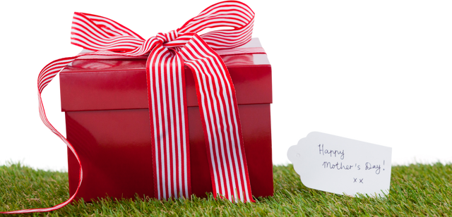 Transparent Red Gift Box with Ribbon and Happy Mother's Day Tag on Grass - Download Free Stock Videos Pikwizard.com