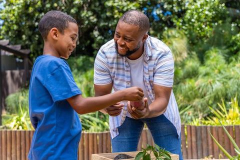 African american father and son planting seedlings in backyard raised bed garden together