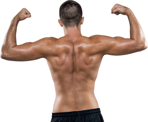 Transparent Strong Male Athlete Flexing Muscles from Back View - Download Free Stock Videos Pikwizard.com