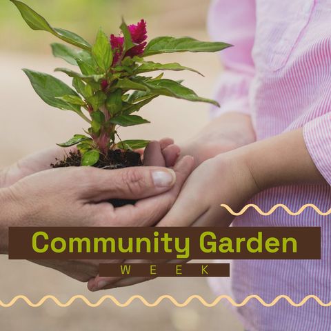 hands holding young plant celebrating community garden week - Download Free Stock Templates Pikwizard.com