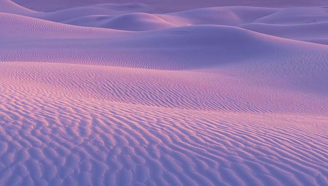 Unfolding Sand Dunes at Sunrise, Pastel Light Highlighting Wind Ripples and Smooth Ridges