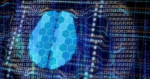 Digital Brain with Hexagonal Grid Over Binary Code - Download Free Stock Images Pikwizard.com