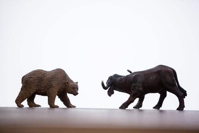 Miniature Bear and Buffalo Confrontation - Download Free Stock Photos Pikwizard.com