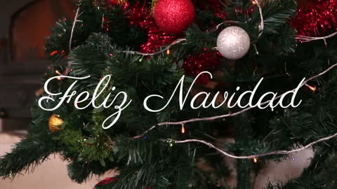 Feliz Navidad Text on Festive Christmas Tree Background