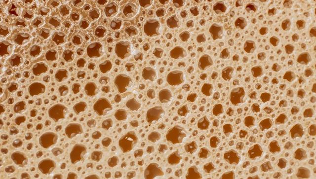 Macro porous foam texture showing tan honeycomb cellular pattern with rounded pores