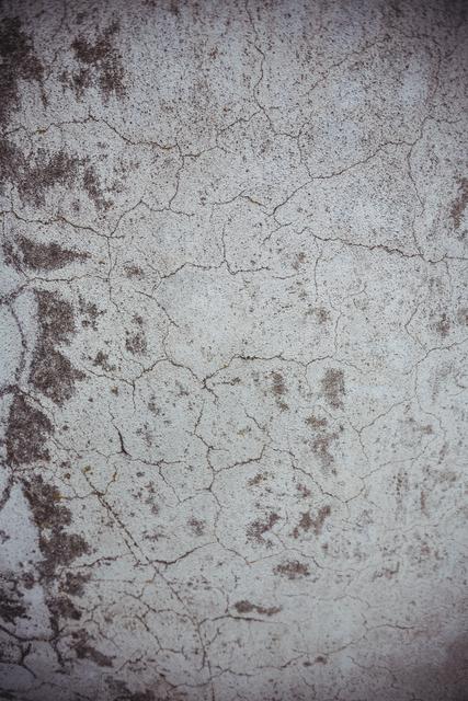 Close-up of Concrete Wall with Cracks and Texture - Download Free Stock Photos Pikwizard.com