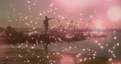 Man Summoning Seagulls at Golden Sunset with Pink Technological Bokeh