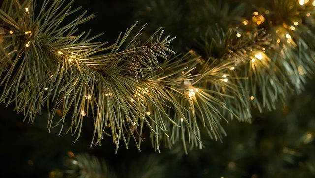 Glowing pine needle close-up with warm micro led lights, holiday evergreen macro bokeh