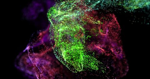 Colorful Particle Cloud in Motion Against Black Backdrop - Download Free Stock Images Pikwizard.com