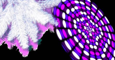 Decorative Twinkling Lights with Fir Branch for Holiday Designs