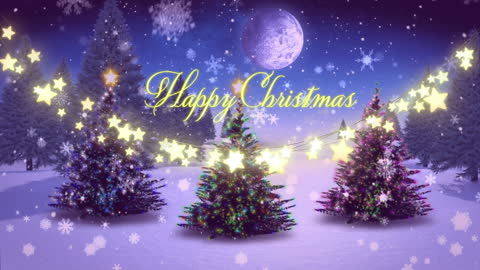 Christmas Night with Decorative Trees and Festive Message
