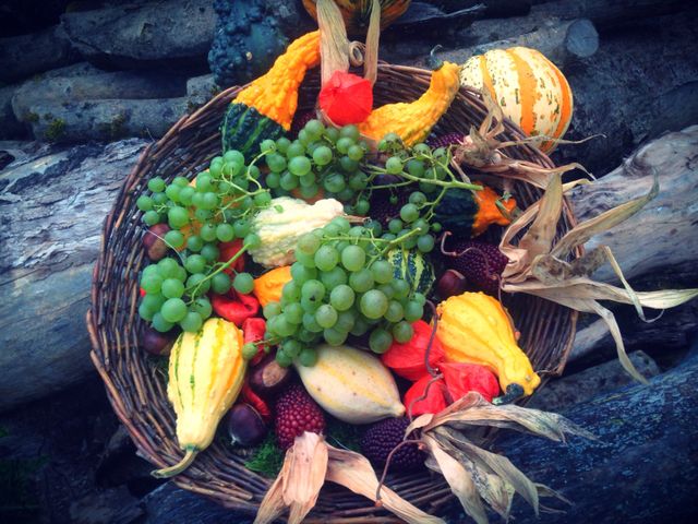 Image displays a rustic basket filled with an assortment of colorful fruits and vegetables including gourds and grapes. Set against a backdrop of logs, this scene reflects the bounty and vibrancy of autumn. Ideal for use in seasonal marketing materials, culinary blogs, or advertisements highlighting natural produce.