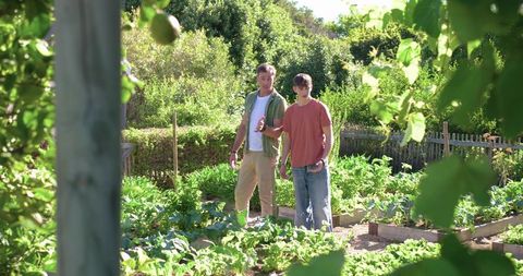 Father and teen son walking through backyard vegetable garden pointing at raised beds
