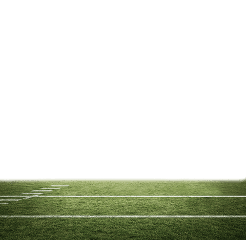 Transparent background with vector grass court illustration