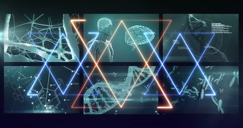 Neon Light Trails Over Medical Data in Futuristic Research Concept - Download Free Stock Images Pikwizard.com