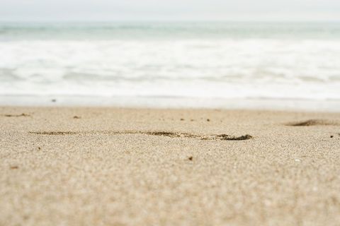 Footprints fading across golden sandy beach with soft waves and blurred horizon