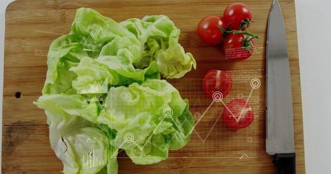 Butter lettuce and vine tomatoes on wooden cutting board with chef knife and data overlay