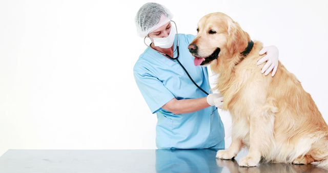 Veterinarian in blue scrubs and protective gear examining a golden retriever with a stethoscope, emphasizing animal care and veterinary services. Ideal for use in advertisements for pet clinics, veterinary services, animal health awareness campaigns, and pet care products.