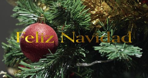 Feliz Navidad Greeting with Christmas Tree Decorations - Download Free Stock Images Pikwizard.com