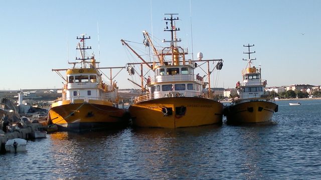 Three Yellow Fishing Boats Moored in Port on Sunny Day - Download Free Stock Photos Pikwizard.com