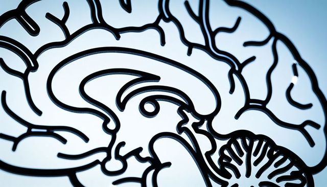 Black lineart brain diagram on blue gradient background showing cortex gyri and cerebellum
