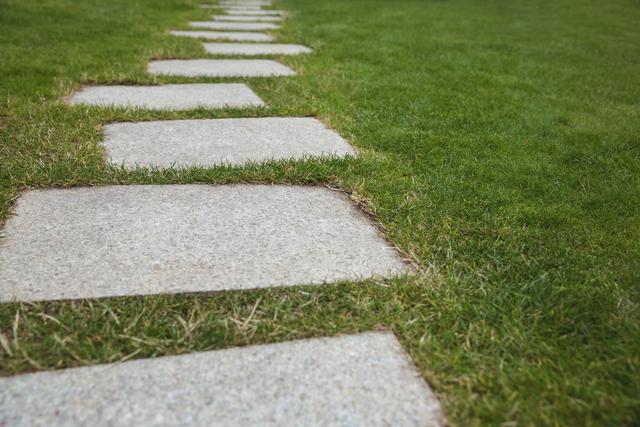 This image showcases a cement walkway with stepping stones laid out in a lush green garden. Ideal for use in articles or advertisements related to landscaping, gardening, outdoor living spaces, and home improvement. It conveys a sense of tranquility and well-maintained outdoor areas.