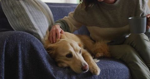 Woman Relaxing with Pet Dog on Cozy Sofa at Home