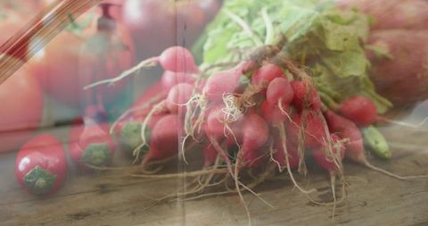 Rustic market bunch of red radishes with tangled roots and leafy greens on wooden counter