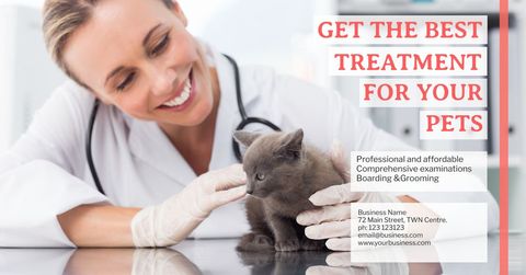 Caring Veterinarian Examining Kitten for Animal Vet Clinic - Download Free Stock Templates Pikwizard.com