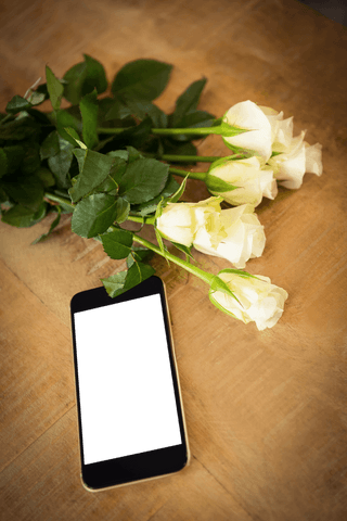 High angle mobile phone with white roses on transparent table