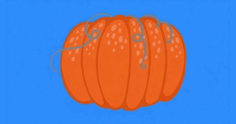 Vibrant Pumpkin Illustration on Blue Background