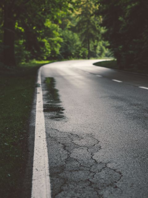 Photo of a quiet forest road after rainfall with reflections on the wet pavement. Ideal for themes about tranquility, nature journeys, travel, road trips, and outdoor adventures.